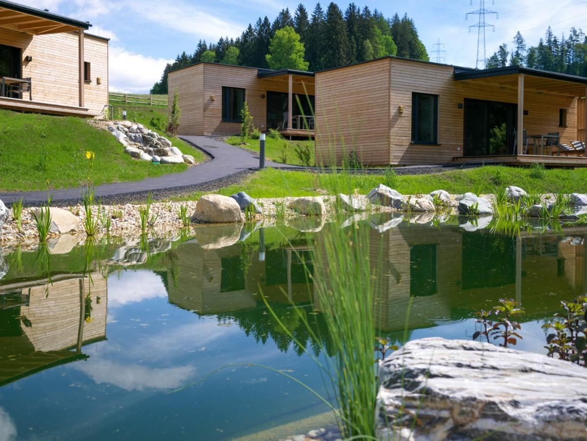 Wiesenquartier I Chalet I Adults Only Langenwang エクステリア 写真