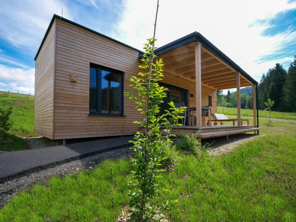 Wiesenquartier I Chalet I Adults Only Langenwang エクステリア 写真