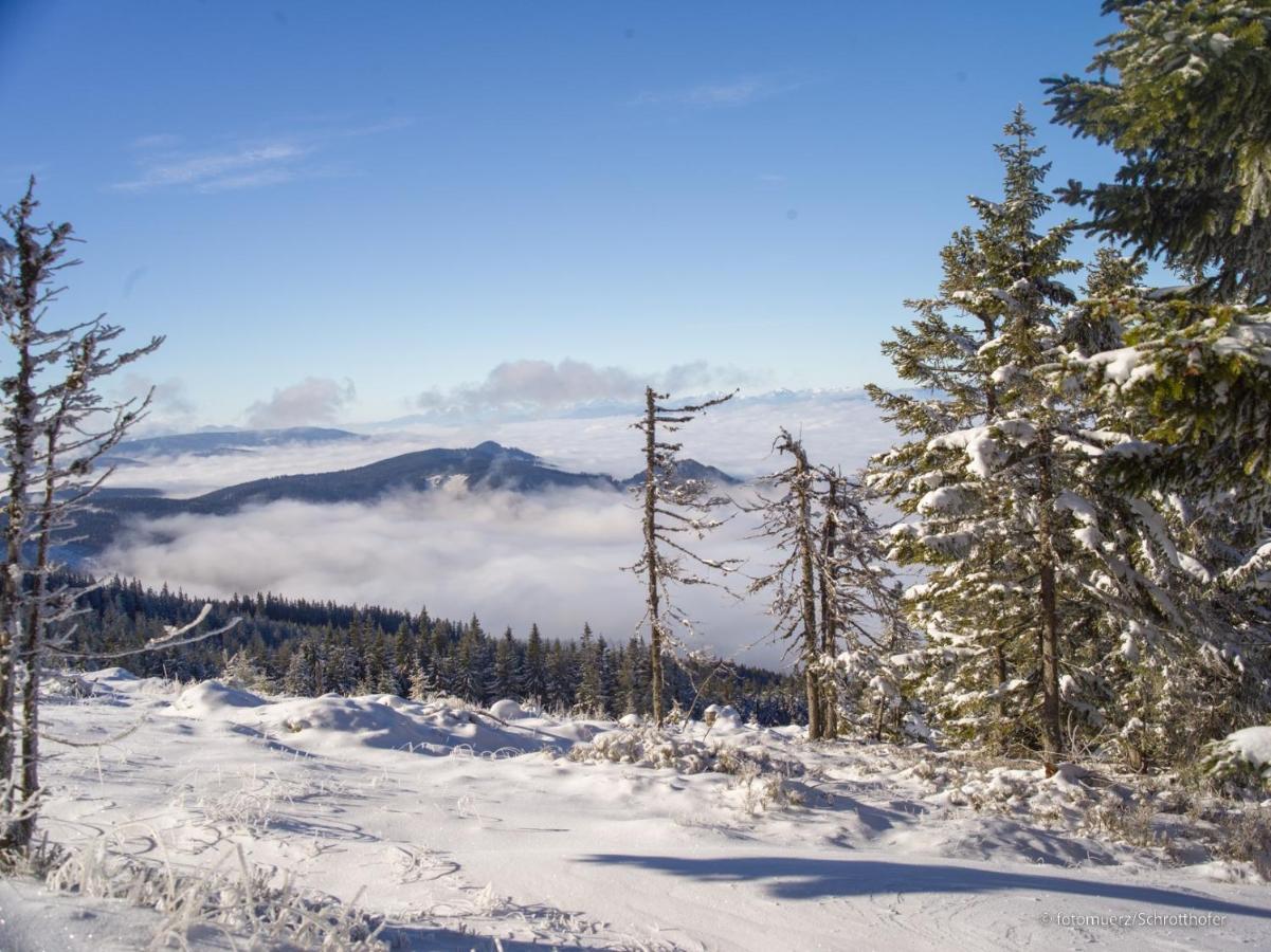 Wiesenquartier I Chalet I Adults Only Langenwang エクステリア 写真