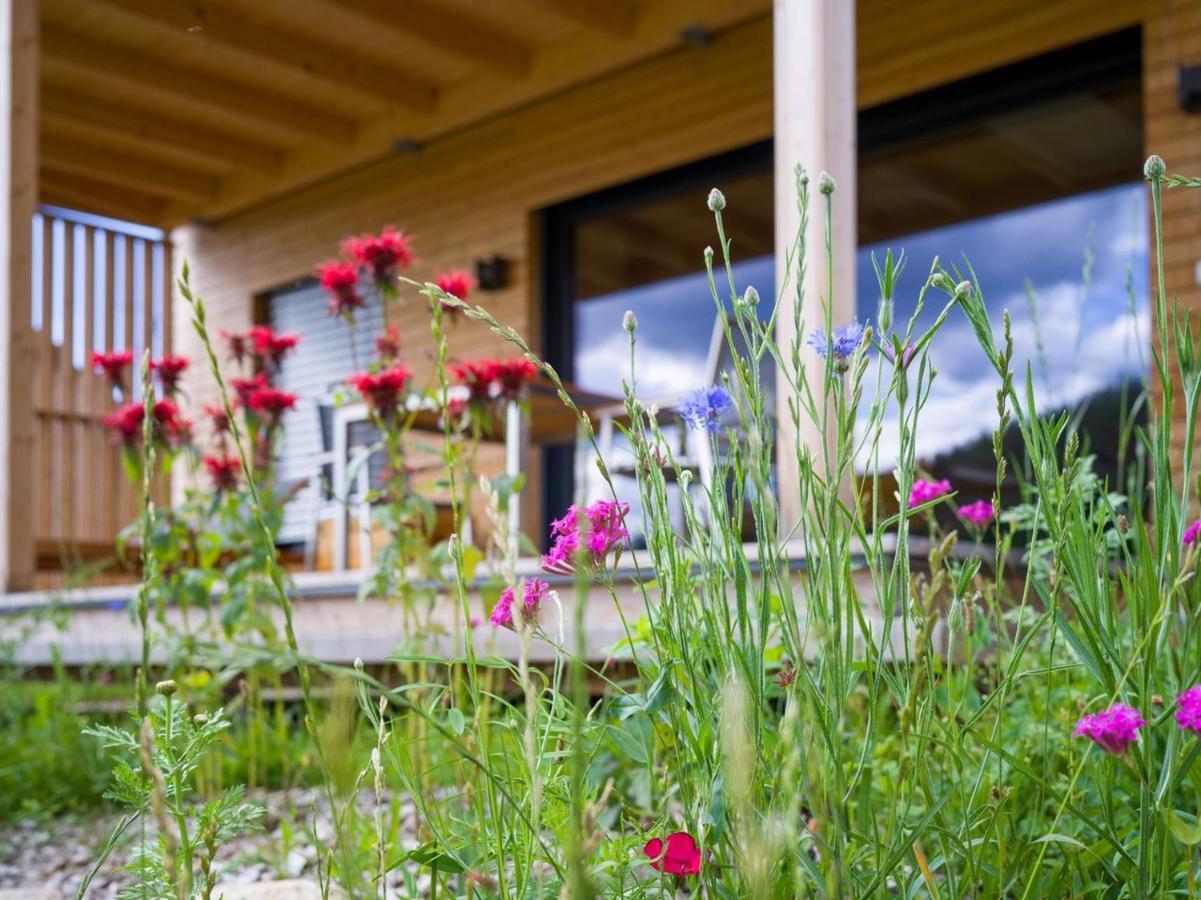 Wiesenquartier I Chalet I Adults Only Langenwang エクステリア 写真